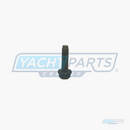 RACOR RK11542 ORIGINAL CAPSCREW