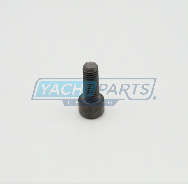 MTU 8699900099 ORIGINAL SCREW